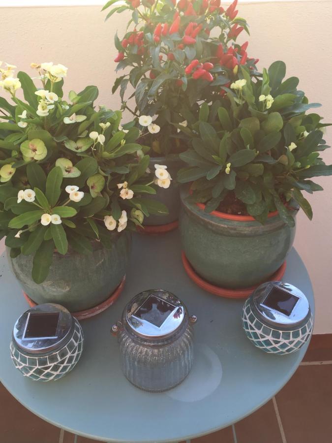 فيليز-مالاغا B&B Casa Louisa, Torre Del Mar- Valleniza المظهر الخارجي الصورة